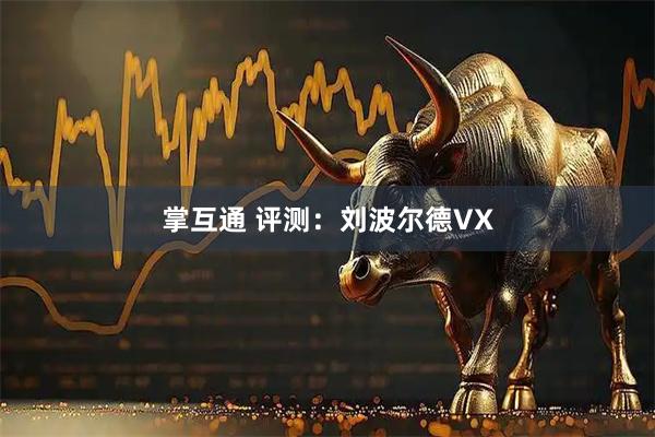 掌互通 评测：刘波尔德VX