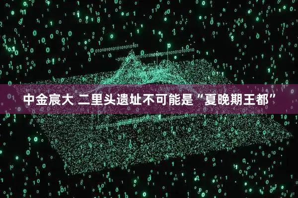 中金宸大 二里头遗址不可能是“夏晚期王都”